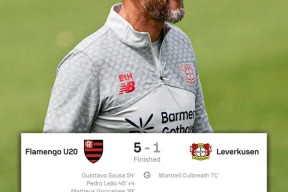 米乐m6-沃尔夫斯堡惨败于勒沃库森，主帅面临压力的简单介绍