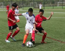 足球比赛的实时战报让人难以移开目光的简单介绍