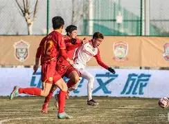 关于关键时刻，小将奉献绝杀，助球队跻身四强的信息